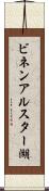 ビネンアルスター湖 Scroll