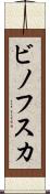 ビノフスカ Scroll