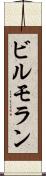 ビルモラン Scroll