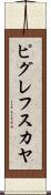 ピグレフスカヤ Scroll