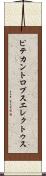 ピテカントロプス・エレクトゥス Scroll