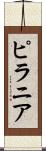 ピラニア Scroll