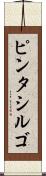 ピンタシルゴ Scroll