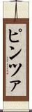 ピンツァ Scroll
