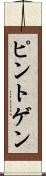ピントゲン Scroll