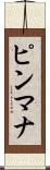 ピンマナ Scroll