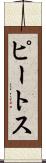 ピートス Scroll