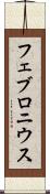 フェブロニウス Scroll