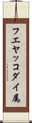 フエヤッコダイ属 Scroll