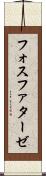 フォスファターゼ Scroll