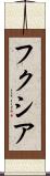 フクシア Scroll