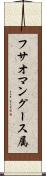 フサオマングース属 Scroll