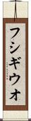 フシギウオ Scroll