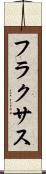 フラクサス Scroll