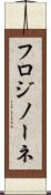 フロジノーネ Scroll