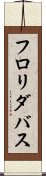 フロリダ・バス Scroll