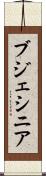 ブジェシニア Scroll