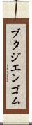 ブタジエンゴム Scroll