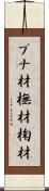 ブナ材 Scroll