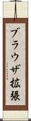 ブラウザ拡張 Scroll