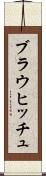 ブラウヒッチュ Scroll