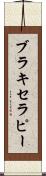 ブラキセラピー Scroll