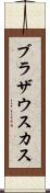 ブラザウスカス Scroll