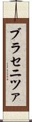 ブラセニツァ Scroll