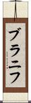 ブラニフ Scroll