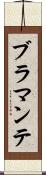 ブラマンテ Scroll