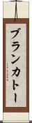 ブランカトー Scroll