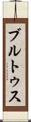 ブルトゥス Scroll