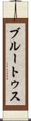 ブルートゥス Scroll