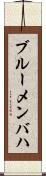 ブルーメンバハ Scroll