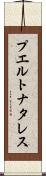 プエルトナタレス Scroll