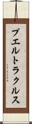 プエルトラクルス Scroll