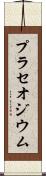 プラセオジウム Scroll