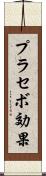 プラセボ効果 Scroll