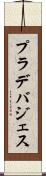 プラデバジェス Scroll