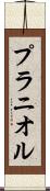 プラニオル Scroll
