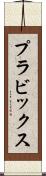 プラビックス Scroll