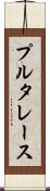 プルタレース Scroll