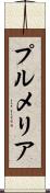 プルメリア Scroll