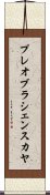 プレオブラシェンスカヤ Scroll