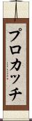 プロカッチ Scroll