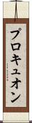 プロキュオン Scroll
