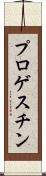 プロゲスチン Scroll