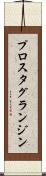 プロスタグランジン Scroll