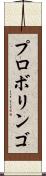 プロボリンゴ Scroll
