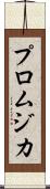 プロムジカ Scroll